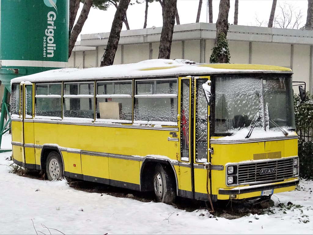 Fiat 308 Cameri school bus