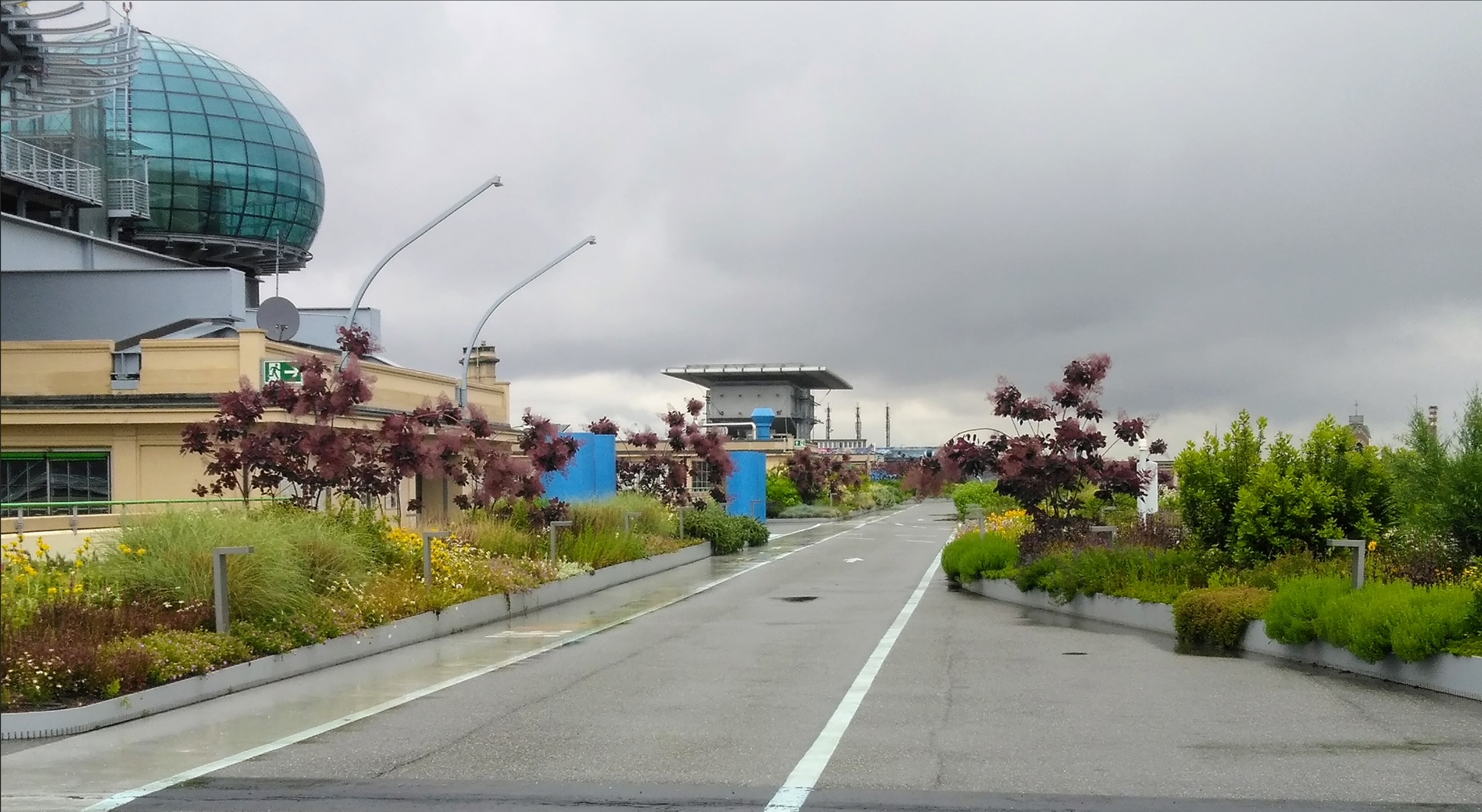 Lingotto dakwandeling