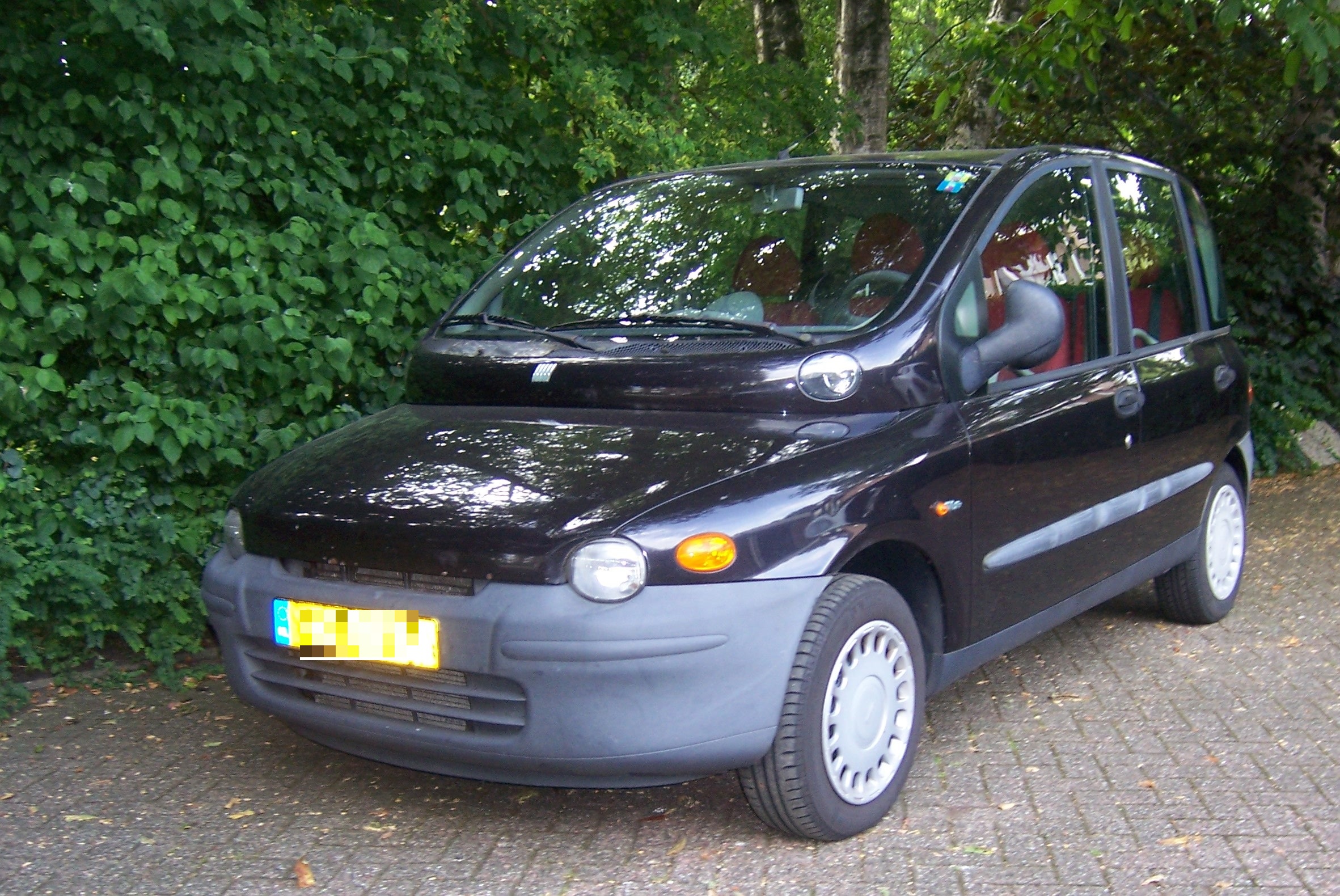 Fiat Multipla Hub van de Bergh